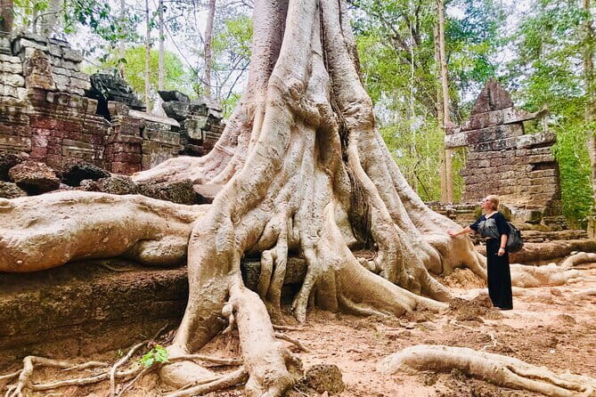 1-Day Angkor Wat Cycling Tour: Scenic Bike Adventure in Siem Reap - Ta Prohm’s jungle setting, plus how the timing helps