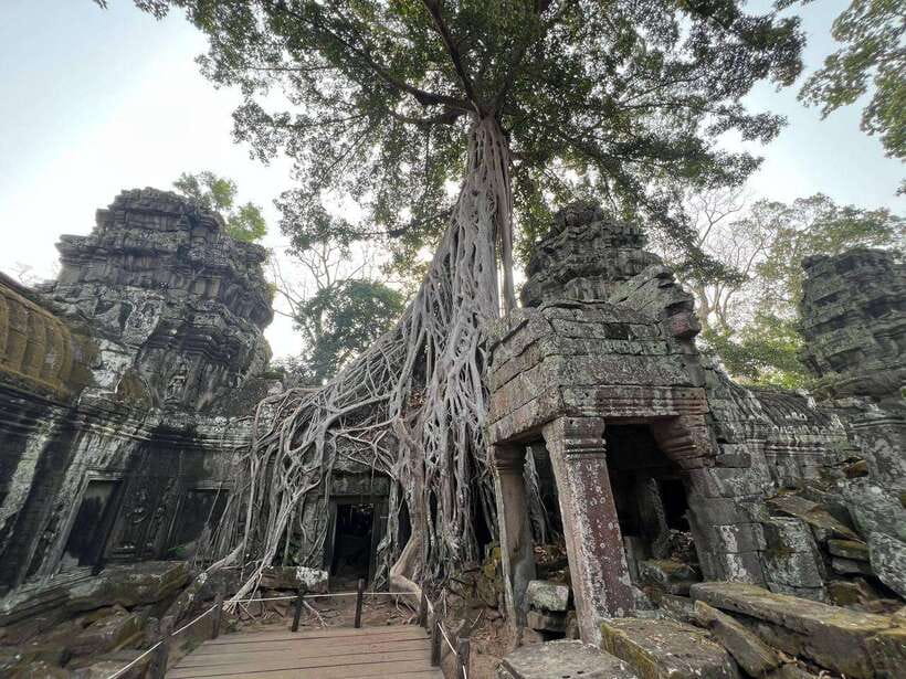 1-Day Angkor Wat Private Tour with Spanish Tour Guide. - What to bring and what can trip you up
