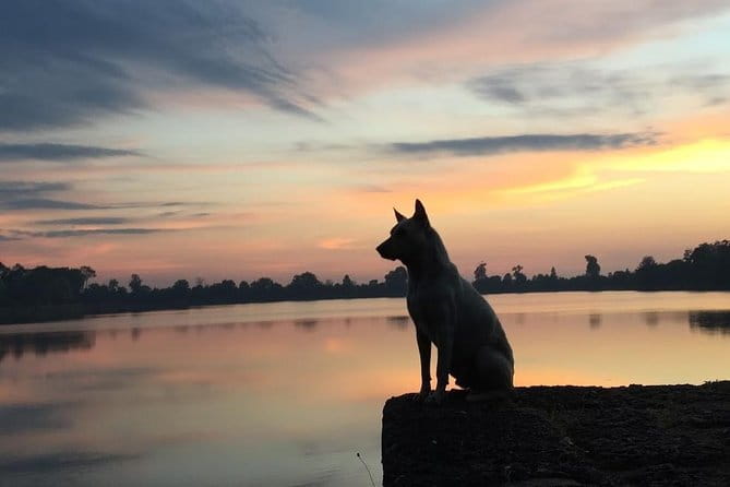 1 Day Angkor Wat with Sunrise Tour - Sunrise at Angkor Wat: the photo timing that drives the whole day