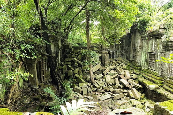 1 day special Tour: Angkor Wat,Bayon,Ta Prohm, Bantey srei and Beng Mealea - Key highlights worth planning around