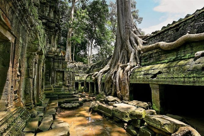 1 day special Tour: Angkor Wat,Bayon,Ta Prohm, Bantey srei and Beng Mealea - A one-day Angkor route that actually fits real life