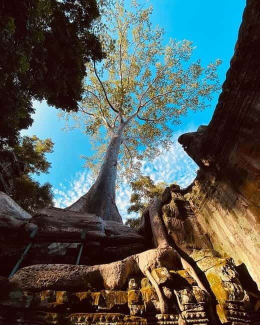 1-Day Trip to Angkor Wat with a Private or Shared Guide in Spanish - Angkor Wat, the big finish and what to focus on