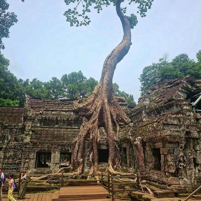 1-Day Trip to Angkor Wat with a Private or Shared Guide in Spanish - Price and logistics, what you are really paying for