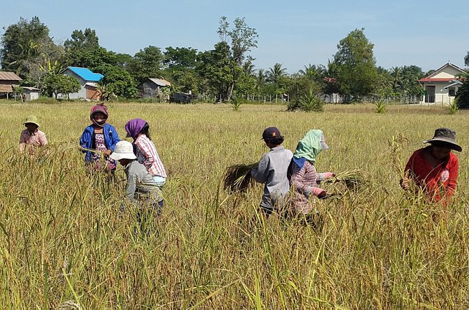 1day private tour all main temple in Angkor,sunset at TonleSap floating village - Kampong Pluk on Tonle Sap: what the floating village actually feels like