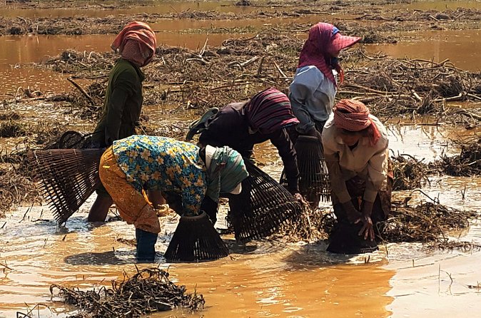 1day private tour all main temple in Angkor,sunset at TonleSap floating village - Price and value: $111 per group, then the tickets you should budget for
