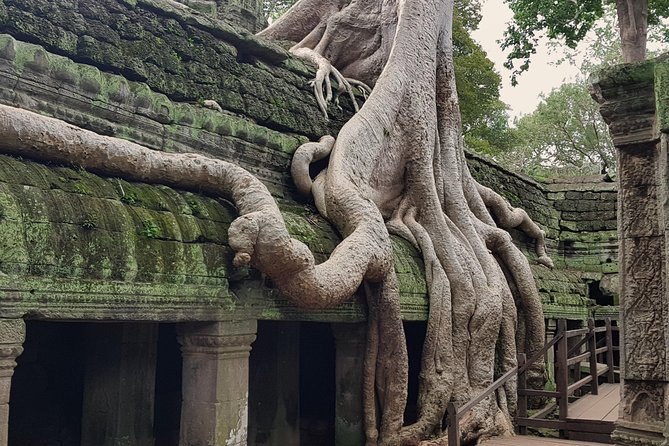 1day Private tour, Angkor sunrise,all main temples, Banteay srei - Bayon Temple ruins: the stone faces and the best way to slow down
