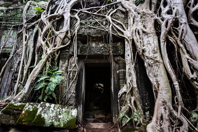 2-Day : Angkor Sunrise, Kompong Phluk Sunset & Banteay Srei Tour - Banteay Srei and the far temple circuit you get in one day