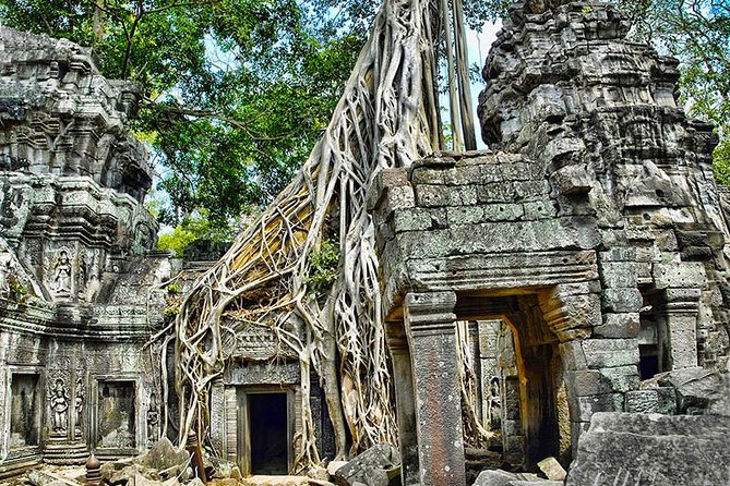 2-Day Best of Angkor Wat and Tonle Sap Lake Tour - Ta Prohm: see the jungle factor up close