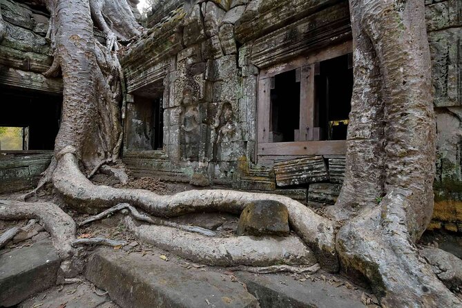 2-Day Phnom Penh to Siem Reap and Angkor Wat Temples - Day 2: 4:45am Angkor Wat sunrise, Ta Prohm, Angkor Thom, and Bayon