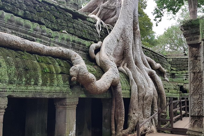 2 Day private tour: Small tour, Big tour, sunrise and sunset,floating village. - What you actually get on the ground: included comforts and guided temple context