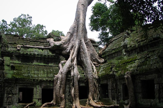 2 Days Angkor Wat Tranquility Tour - Why this Angkor Wat Tranquility Tour feels calmer than the usual circuit