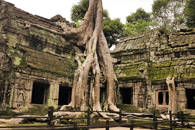 2-Days Private Tour in Angkor Sunrise, Banteay Srei and Beng Mealea Temple - Which temples you’ll get, in a sensible two-day flow
