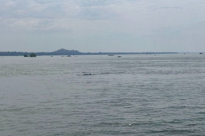 4 hours taking tuk tuk to see Mekong dolphins and countryside - Pickup, Group Size, And The Tuk-Tuk Style Of Getting Out Of Town