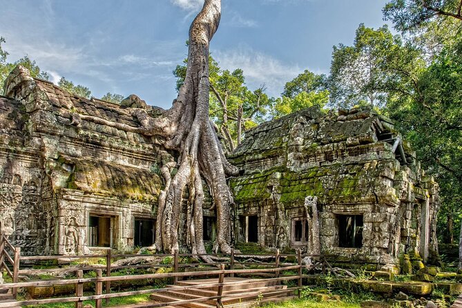 5 Must-See Temples With Private Guided Tour - Price and admissions: what $75 really buys you