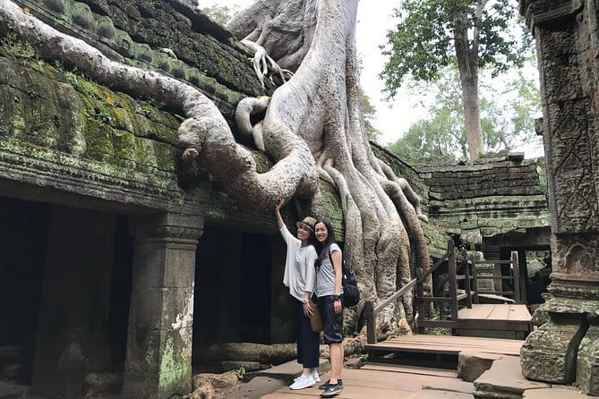 A Day Angkor Park Tours - Private English Speaking Tour Guide - What you should watch for on the ground