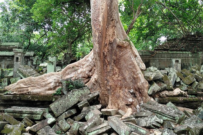A Day Angkor Wat Sunrise Tour, Ta Prohm & Hidden Gems Beng Mealea - Price and logistics: what $155 per group gets you
