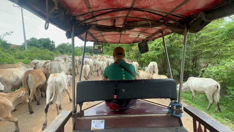A day tour through Battambang/Local area and landmarks - The Tuk-Tuk Country Drive to Lotus Fields and Countryside Life
