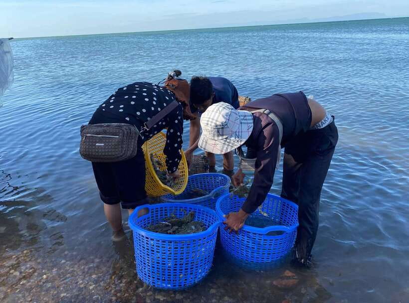 A Day Trip to Kep Beach and Kampot from Phnom Penh - From Phnom Penh to Kampot: set your expectations for a full-day loop