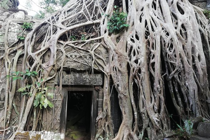 Afternoon Angkor Wat Private Tour with Sunset - Ta Prohm: The Tree-Covered Temple People Remember