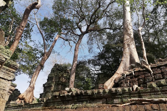 Afternoon Angkor Wat Private Tour with Sunset - Bayon Temple and the Faces: How to Read the Stares