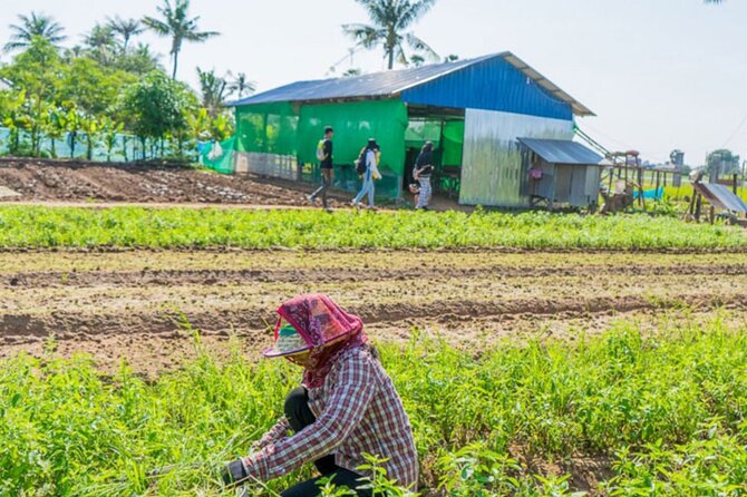 Afternoon Cooking Class & Village Tour in Siem Reap - Farms, Mushroom Patches, and Rice Wine You Can Actually Point To