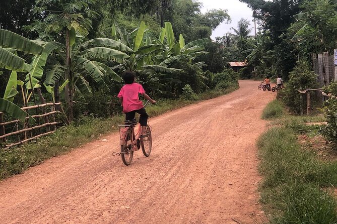 Afternoon tour by tuk tuk to bamboo train,bat cave,killing cave,countryside. - Stop 1: Battambang Province and French colonial architecture
