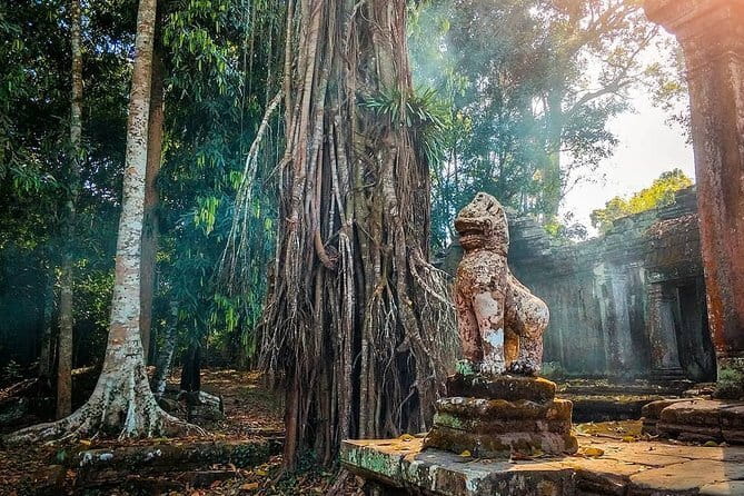 Amazing full day TUKTUK tour - Ta Prohm and the jungle-temple trio: from small shrines to Tomb Raider vibes