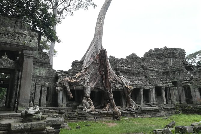 Angkor Grand Circuit Temples Tour - Why the Grand Circuit from Siem Reap feels worth the effort