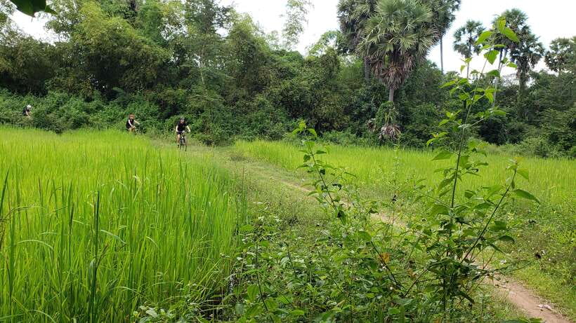 Angkor Jungle Biking Adventure Private Cycling Tour - Jungle Temple Riding: Ta Prohm and the Tomb Raider Feeling