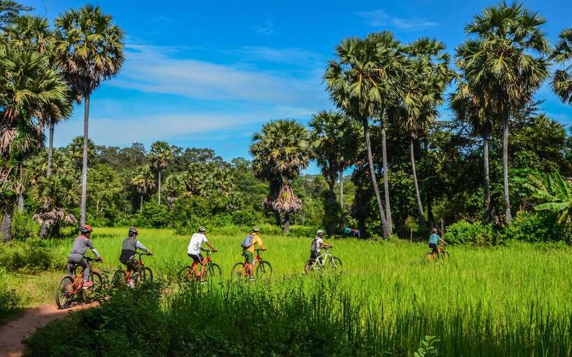 Angkor Jungle Biking Adventure Private Cycling Tour - Angkor Thom, Bayon, and the Royal Area: Riding Between the Big Names
