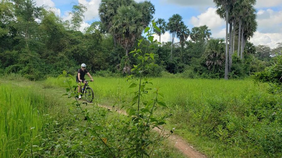 Angkor Jungle Biking Adventure Private Cycling Tour - Ta Prohm Back-to-Back Energy, Then the Ride Home