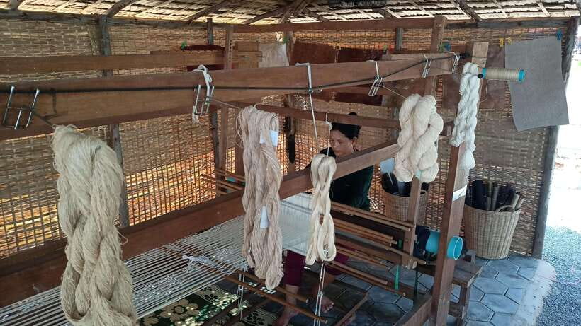 Angkor Silk Farm & Lotus Silk Farm: Siem Reap Discovery Tour - Meeting at Biolab Café and How the Day Flows