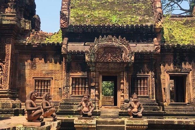 Angkor Temple Sunrise Half Day Tour - Guide quality: what the best feedback patterns tell you
