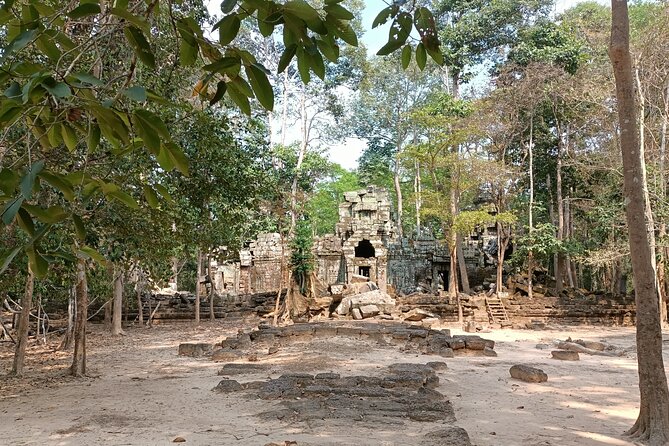 Angkor Temples Highlights: 2-Day Private Tour with Sunrise - Ta Prohm’s Tree Roots: The Temple That Feels Alive