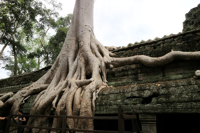 Angkor Temples Private Full-Day Tour from Siem Reap (Free Child) - Terrace of the Elephants: quick, iconic, and good for scale photos