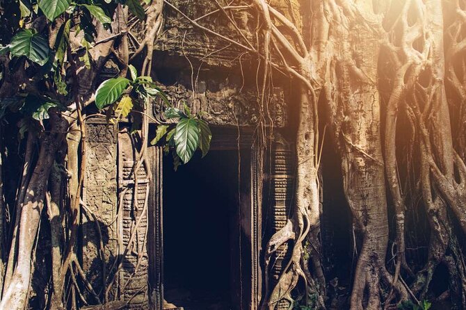 Angkor Thom Ta Prohm and Sunset in Angkor Wat Golden Hour Tour - Angkor Thom: South Gate, Bayon faces, and the Terrace of the Elephants