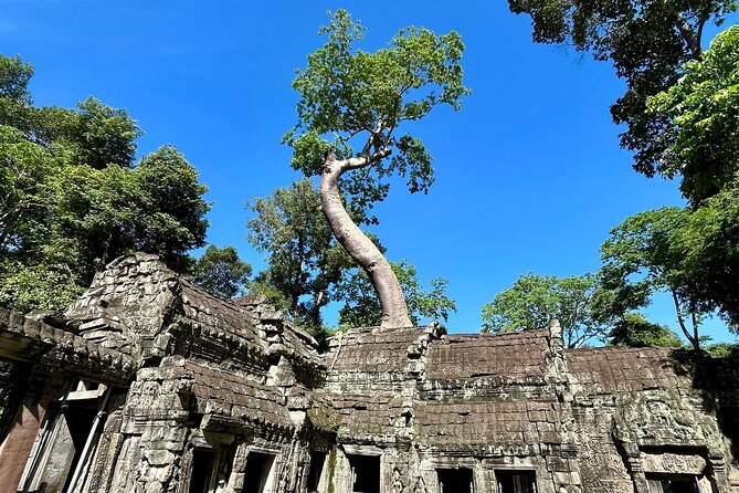 Angkor Wat 1-Day Tour by Private Car or Minivan - Ta Prohm and other temple stops, plus jungle and birdwatching time