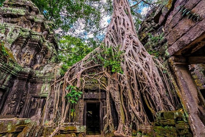 Angkor wat and Small group temples Full day tours - Angkor Thom and Bayon: the city, the faces, the meaning