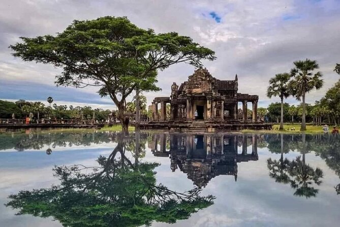 Angkor wat and Small group temples Full day tours - Ta Prohm: when jungle and stone share the stage