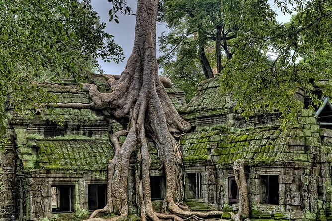 Angkor Wat, Angkor Thom & Elephant Terrace Half-Day Tours - Why This Half-Day Angkor Route Works in Real Life