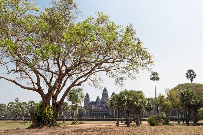 Angkor Wat, Angkor Thom & Elephant Terrace Half-Day Tours - Guides Make the Difference: Pacing, Crowd Avoidance, and Water
