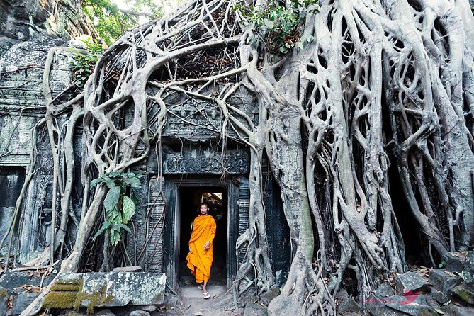 Angkor Wat & Banteay Srey Tour - Banteay Srei, Lady Temple: pink sandstone carvings and a sugar palm stop