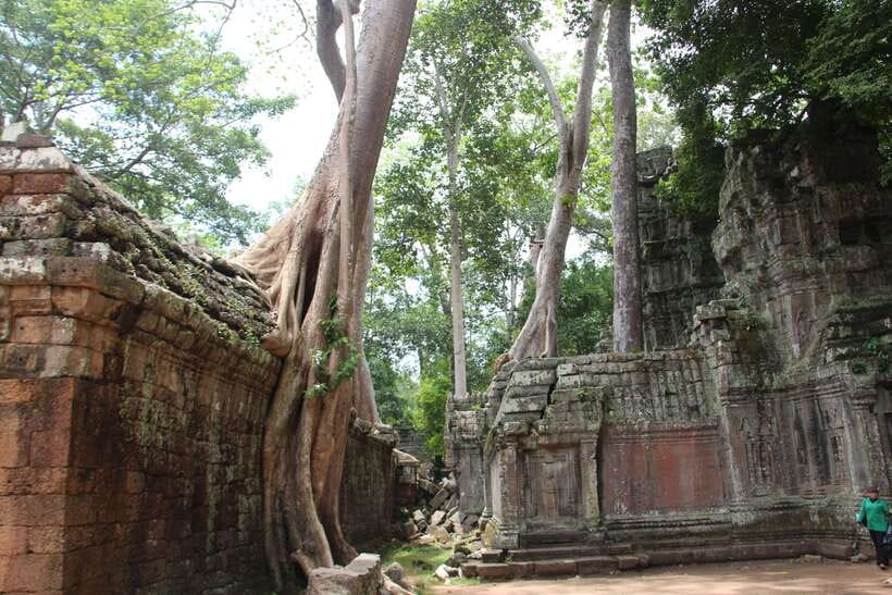 Angkor Wat Full-Day Private Tour with Sunset - Terrace of the Elephants and Terrace of the Leper King