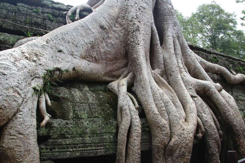 Angkor Wat Full-Day Private Tour with Sunset - Dress Code and Practical Temple Etiquette (What to Wear)