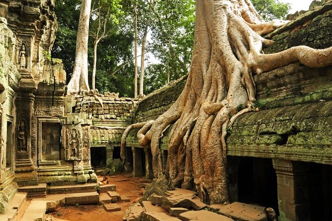 Angkor Wat full Day 'Small Group with sunset & Tour Guide - Ta Prohm and the movie connection, plus the jungle mood