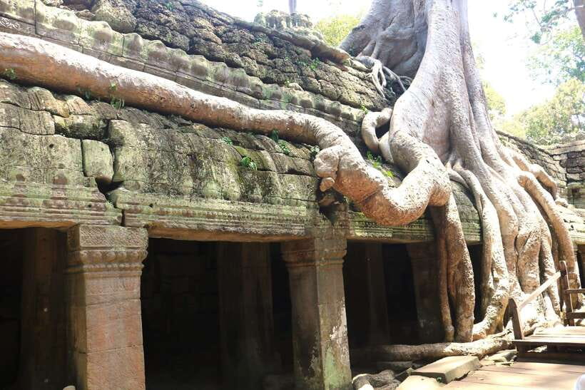 Angkor Wat: Highlights and Sunrise Guided Tour - Price breakdown: $19 plus the Angkor Pass, is it still good value?
