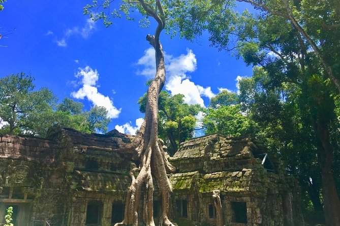 Angkor Wat one Day Private Tour for All Highlight Angkor Temples - Bayon Temple: the 1-hour anchor of the day