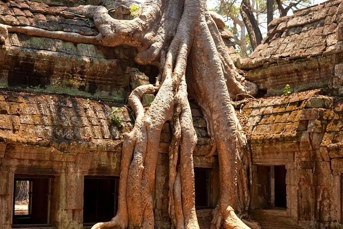 Angkor Wat Private Day Tour - Angkor Wat: the main stage plus sunset watching