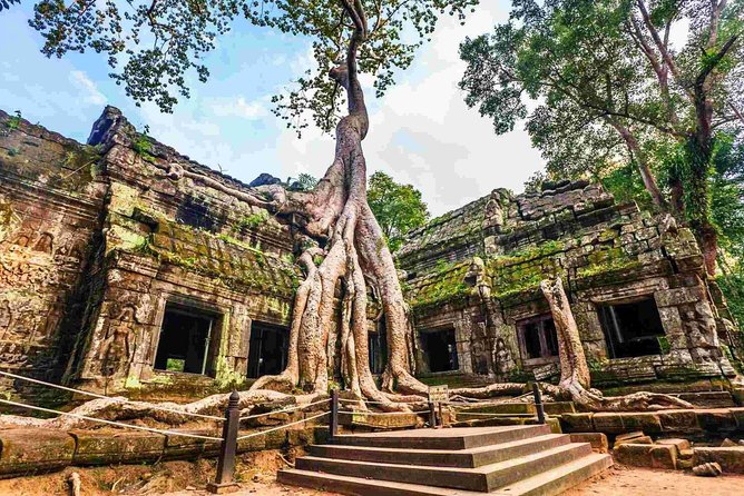 Angkor Wat Private Day Tour from Siem Reap - Ta Prohm: when nature takes over the temples