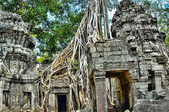 Angkor Wat Private Tour in a Tuk Tuk - Terrace of the Elephants and the Leper King: victory and tragedy in stone